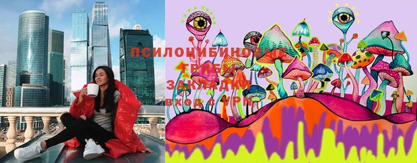 соль ск Арсеньев