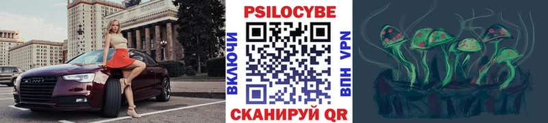 Купить закладки  Новодвинск  Галлюциногенные грибы GOLDEN TEACHER 