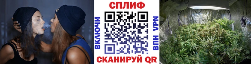 Конопля THC 21%  Купить где  Новодвинск 